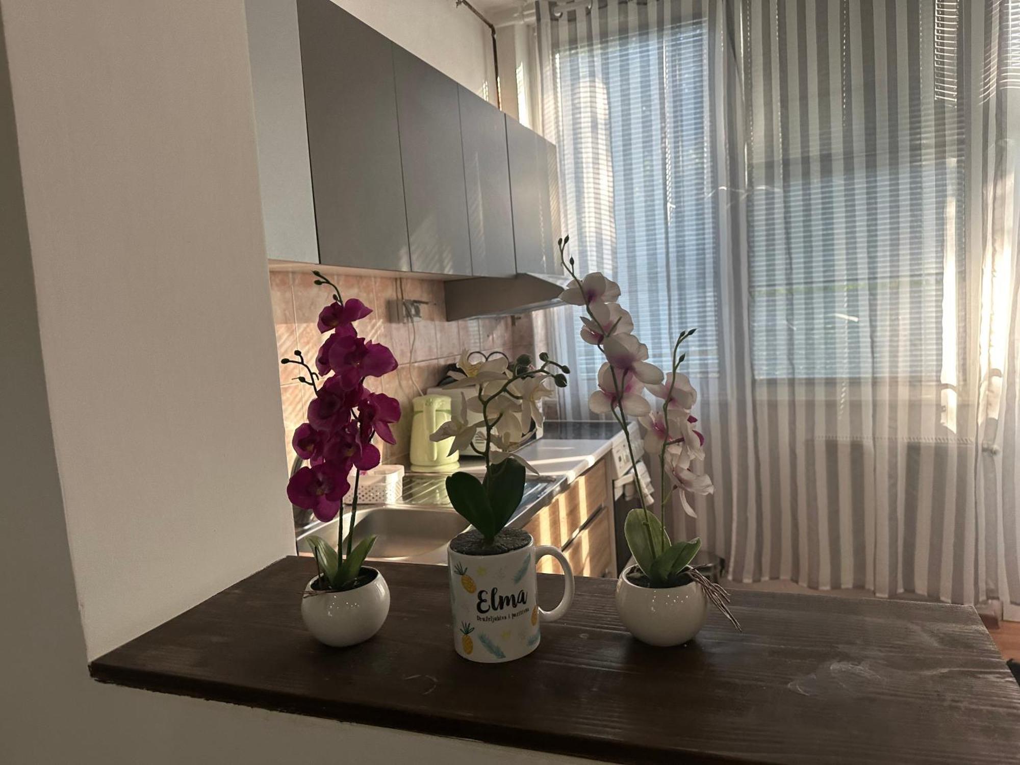 Elma Apartments ซาราเยโว ภายนอก รูปภาพ